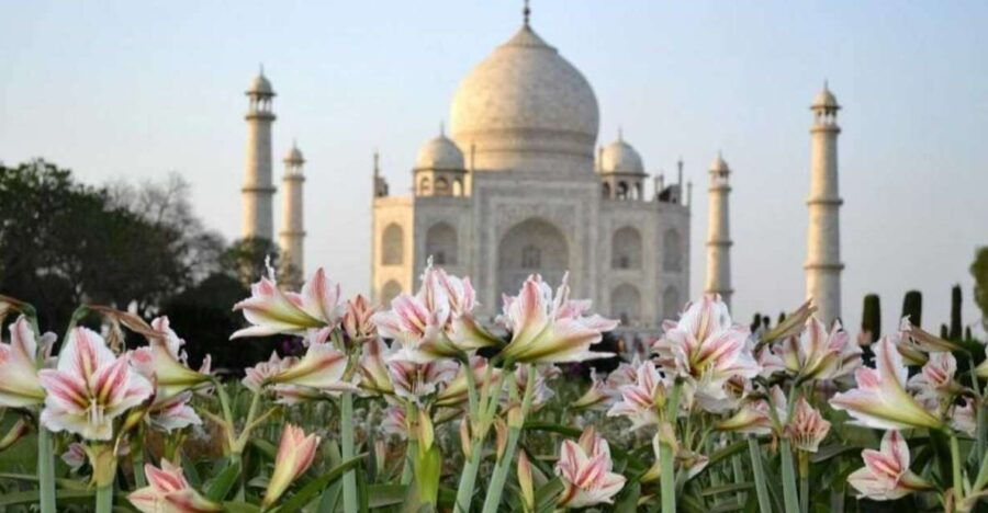 From Banglore: Private Guided Tajmahal Day Trip With Lunch - Good To Know