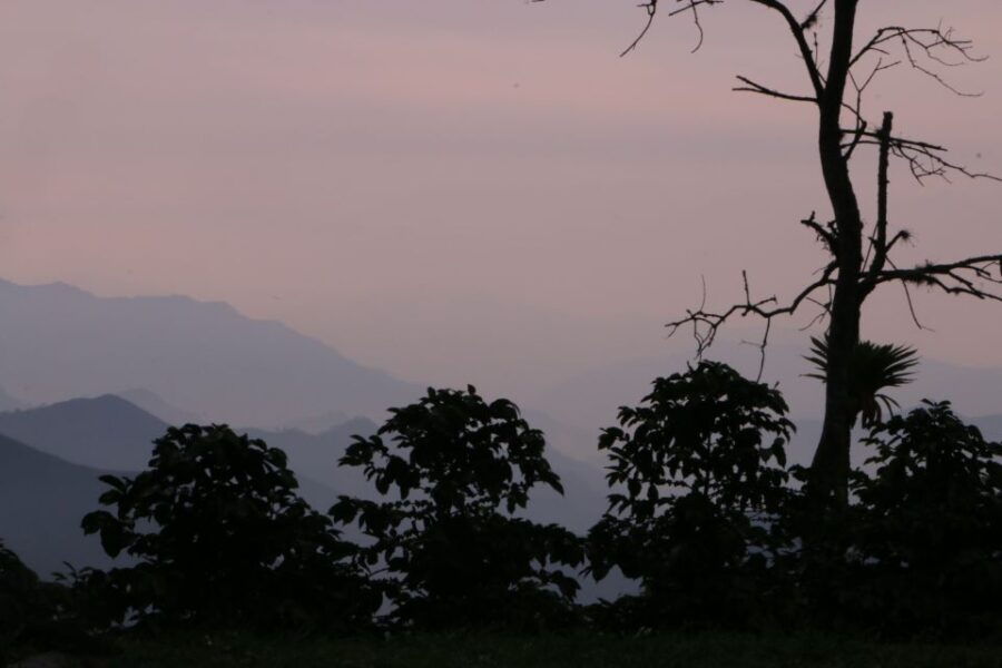 From Bogotá: Coffee Plantation Experience