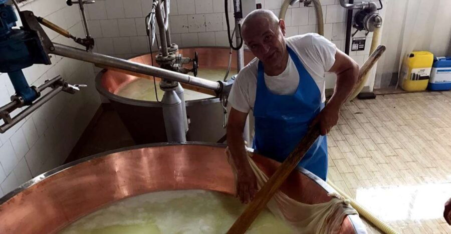 From Bologna: Emilia Excellence Food Tour