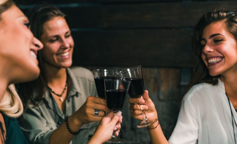 From Bologna: Wine Experience Colli Bolognesi - Highlights
