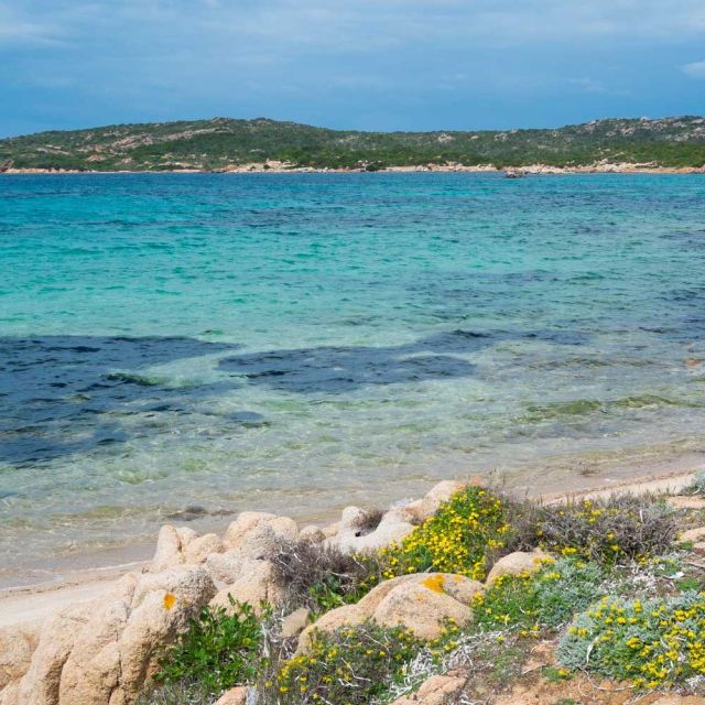 From Cannigione: Private Caprera Snorkeling Trip by Boat