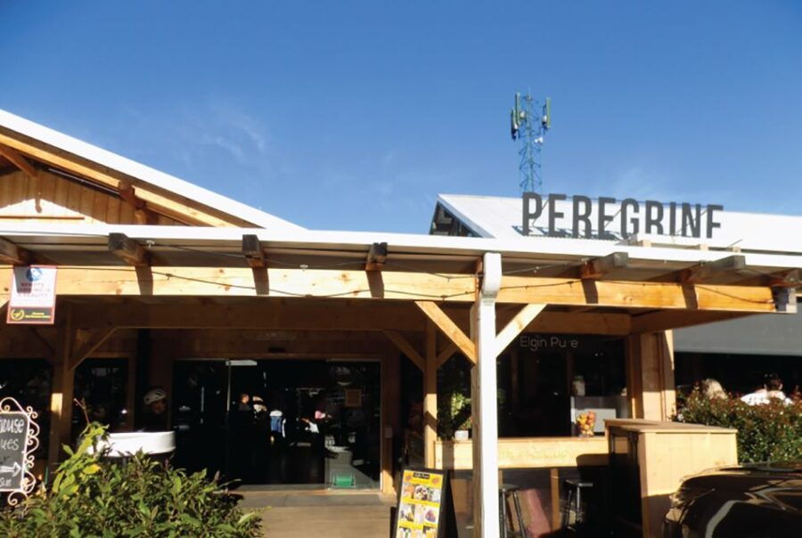 From Cape Town: Full Day Guided Tour to Hermanus