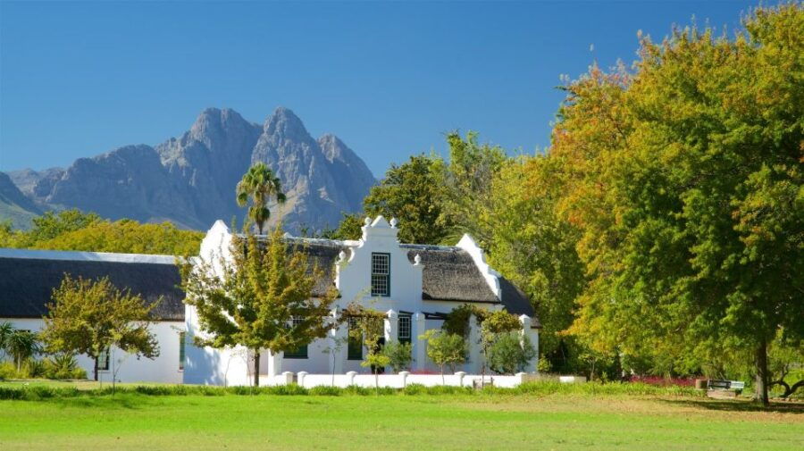 From Cape Town: Private Cape Winelands Tour