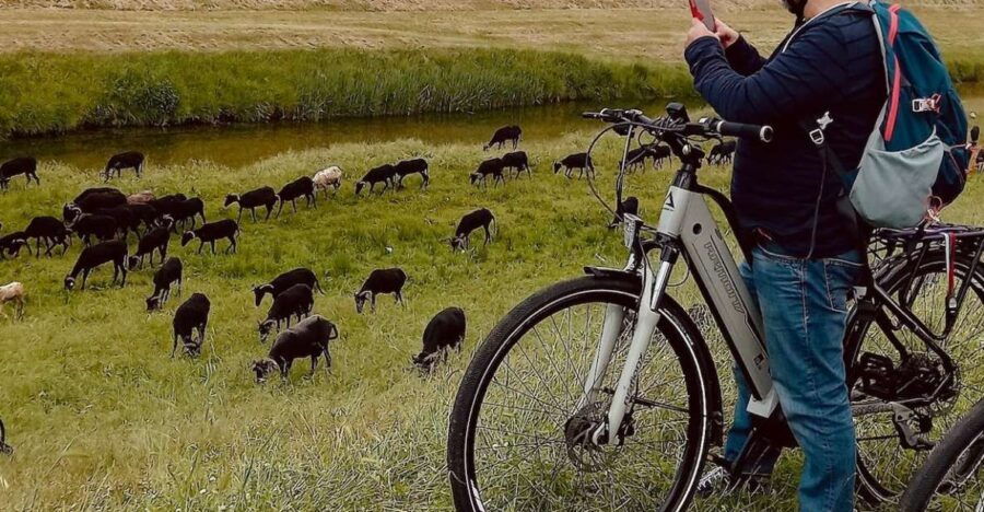 From Certaldo: Bike Tour in the Tuscan Hills - Good To Know