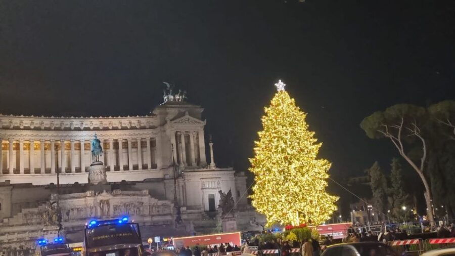 From Civitavecchia: Private Cruise Shore Excursion to Rome - Good To Know