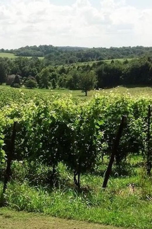 From DC or Balt: Westminster Region Wine Tour With Lunch - Highlights of the Tour