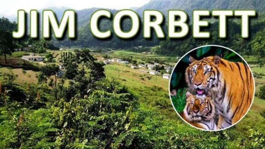 From Delhi: 3-Day Wildlife Trip to Jim Corbett National Park - Day 2 Activities