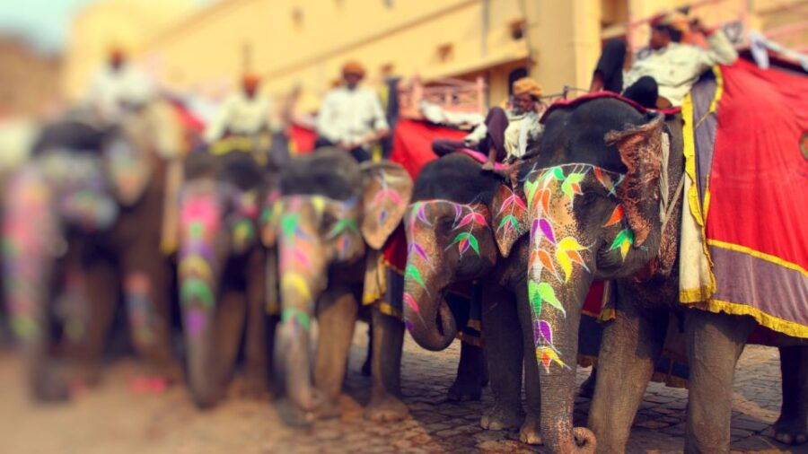 From Delhi: Golden Triangle Tour 3 Days - Booking and Important Information