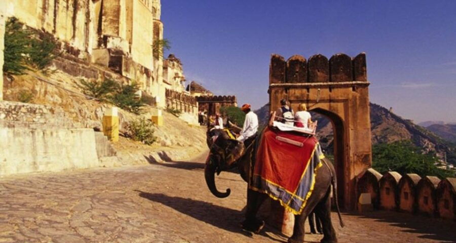 From Delhi: Private Jaipur & Amber Fort Guided Tour by Guide - Tour Details