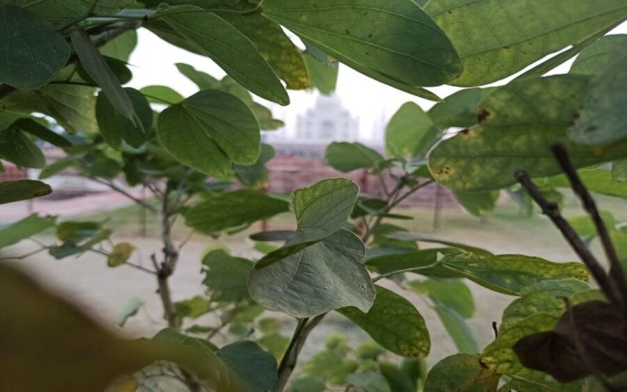 From Delhi: Taj Mahal & Agra Fort Day Trip by Gatiman Train - Good To Know