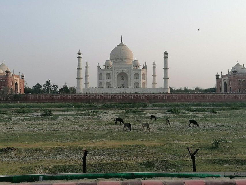 From Delhi:- Taj Mahal Private Guide Tour With Options - Inclusions