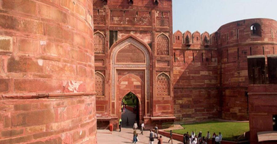 From Delhi: Trip to Taj Mahal, Wildlife SOS and Agra Fort - Good To Know