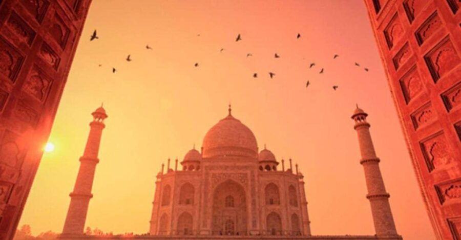 From Delhi:Sunrise Taj Mahal Tour With Elephant Conservation