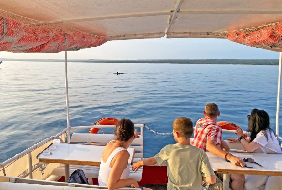 From Fažana: Dolphin Sunset Cruise to Brijuni National Park