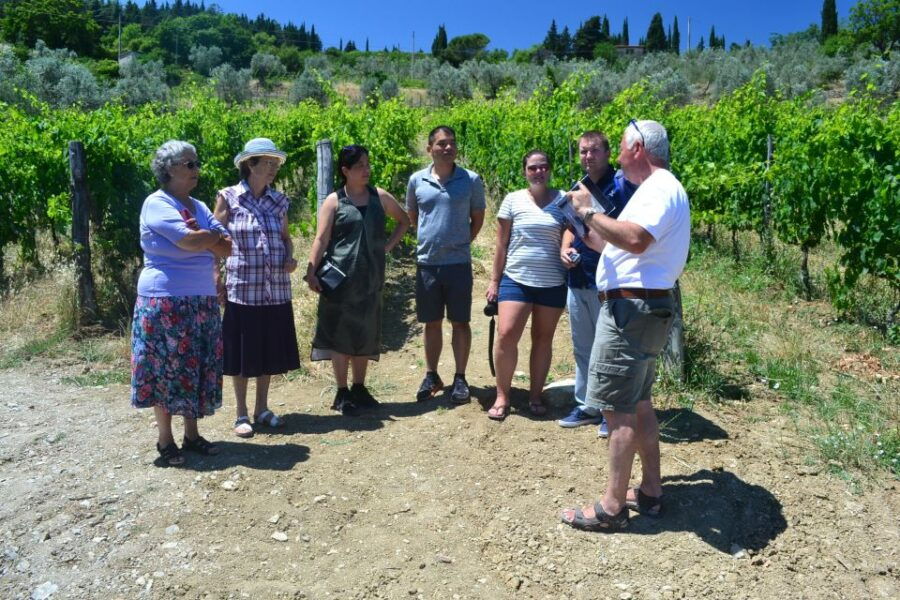 From Florence: Boutique Winery Tour With Lunch in Chianti - Pricing and Duration