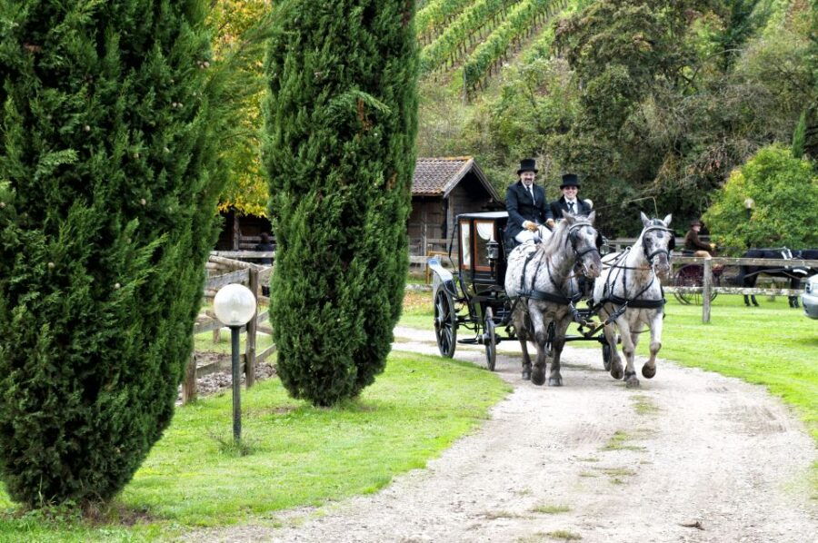 From Florence: Carriage Ride in Chianti Hills With Lunch - Duration and Language