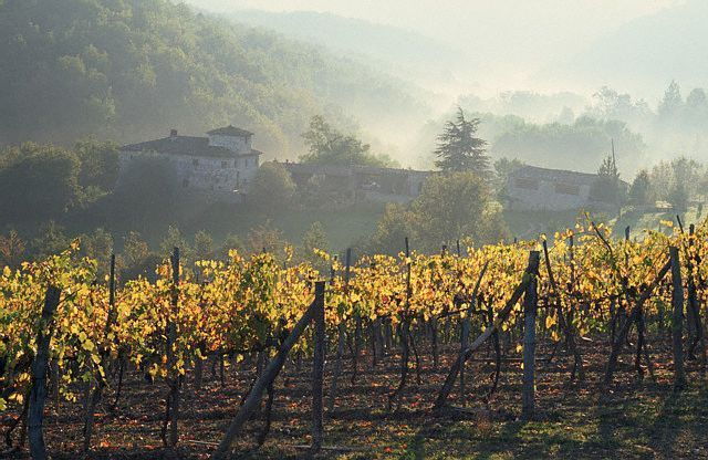 From Florence: Chianti Wine Tour With Driver-Guide - Tour Overview