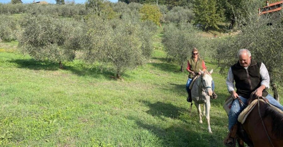 From Florence: Horseback Ride and Olive Oil Tour With Lunch - Experience Description