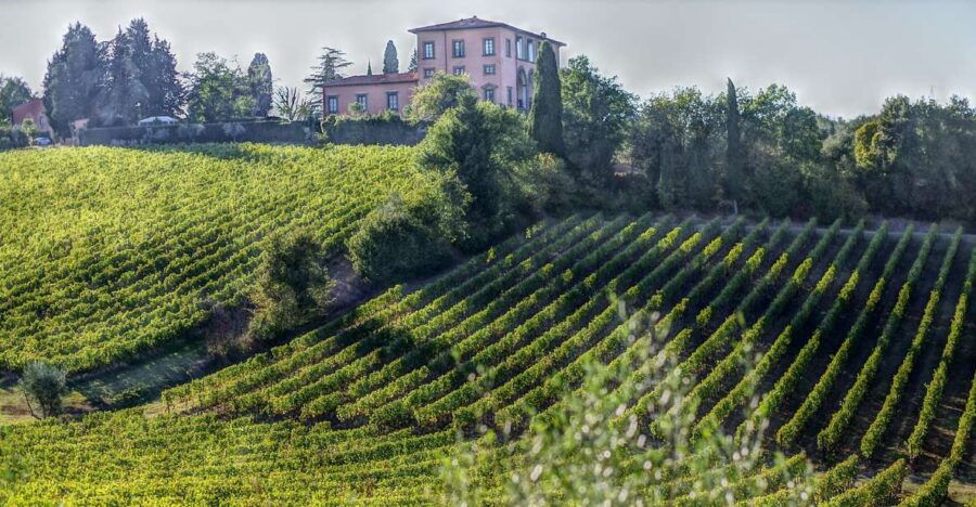 From Florence: PRIVATE Wine Experience in Chianti Classico - Tour Itinerary