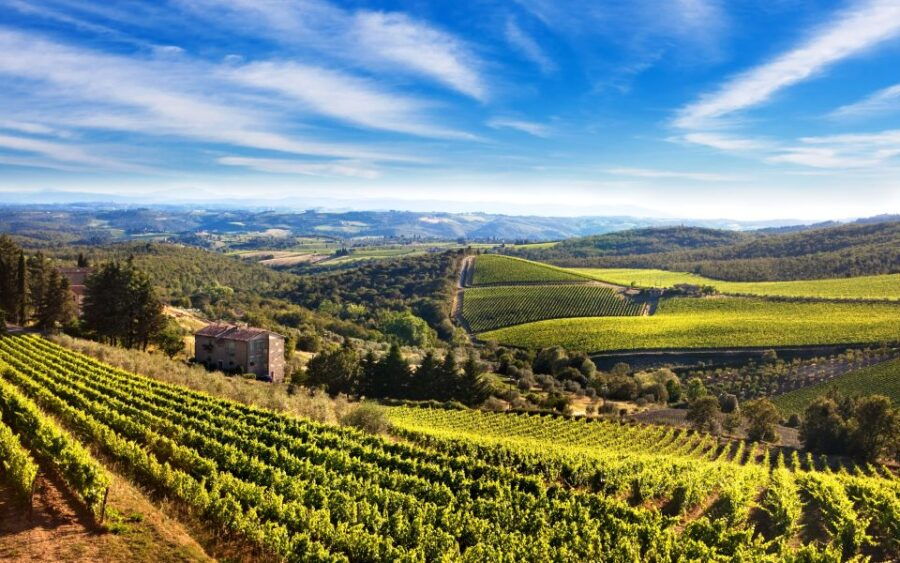 From Florence: Private Wine Tour With Dinner on an Estate