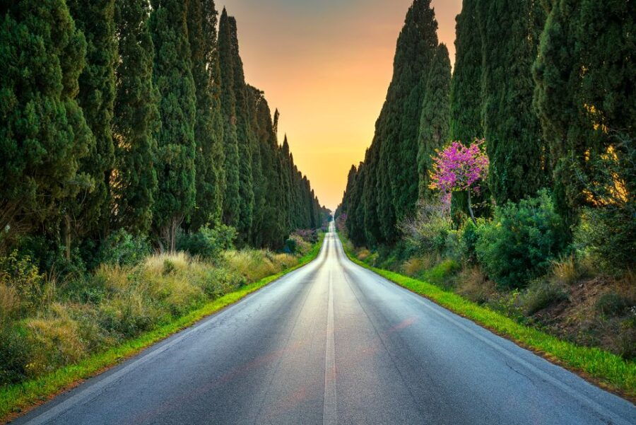 From Florence: Trip to San Gimignano, Volterra and Bolgheri - Good To Know