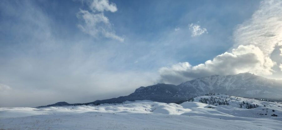 From Gardiner: Yellowstone National Park Snowshoe Tour