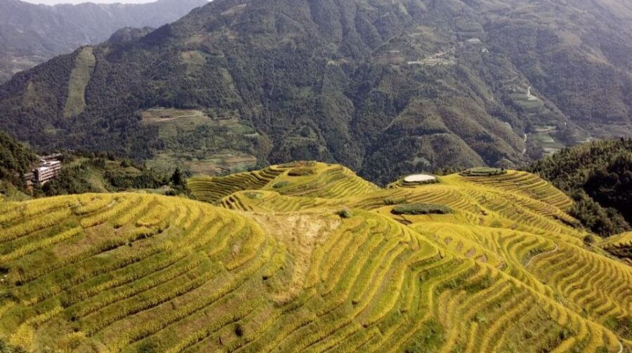 From Guilin: Longsheng Dragons Backbone Rice Terraces