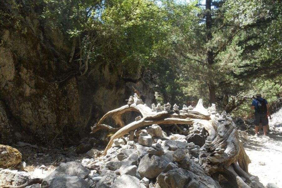 From Heraklion: Imbros Gorge Hiking Experience