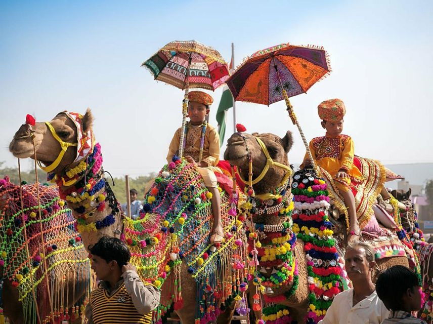 From Jaipur: One-Day Trip From Jaipur to Pushkar
