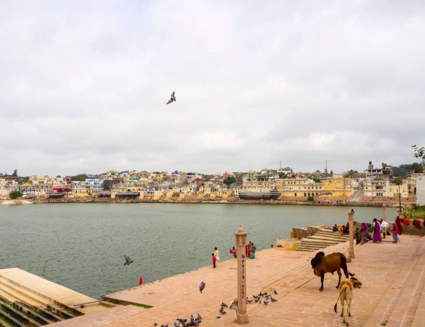 From Jaipur to Udaipur via Pushkar Private Tour by Cab