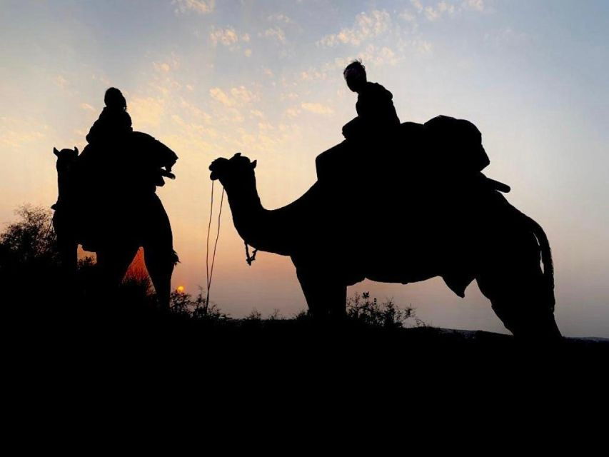 From Jodhpur : Camel Safari , Buffet Dinner + Folk Dance