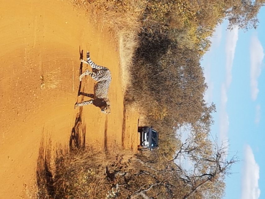From Johannesburg or Pretoria: Dinokeng Guided Safari Tour