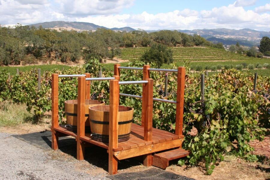 From Lake Garda: Valpolicella Wine & Lunch Guided Trip - Experience Description
