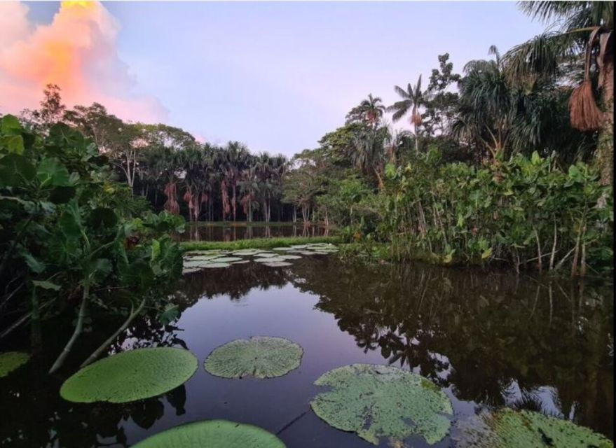 From Leticia: Amazonas Three Borders 3-Day Tour