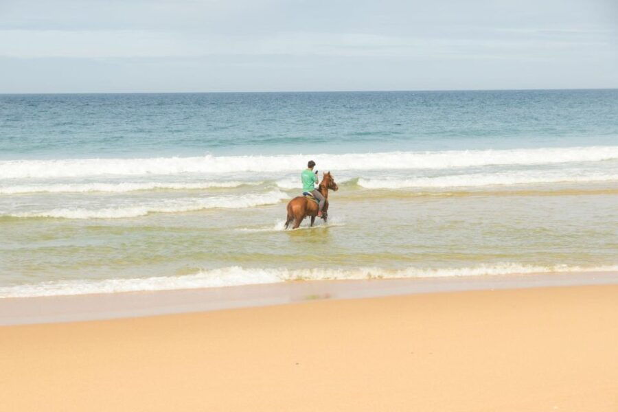 From Lisbon: Horseback Riding on Comporta Beach - Activity Details