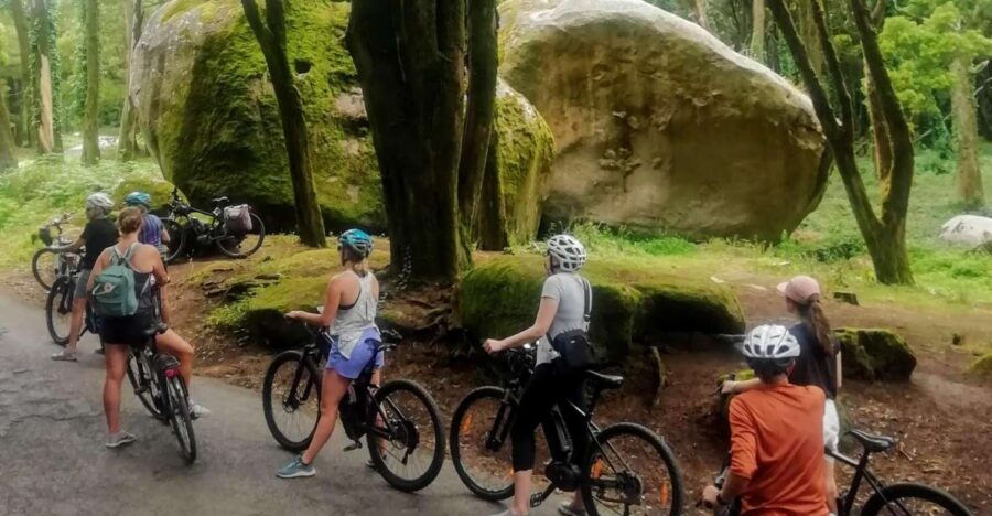 From Lisbon: Sintra and Cascais E-Bike Tour - Tour Overview