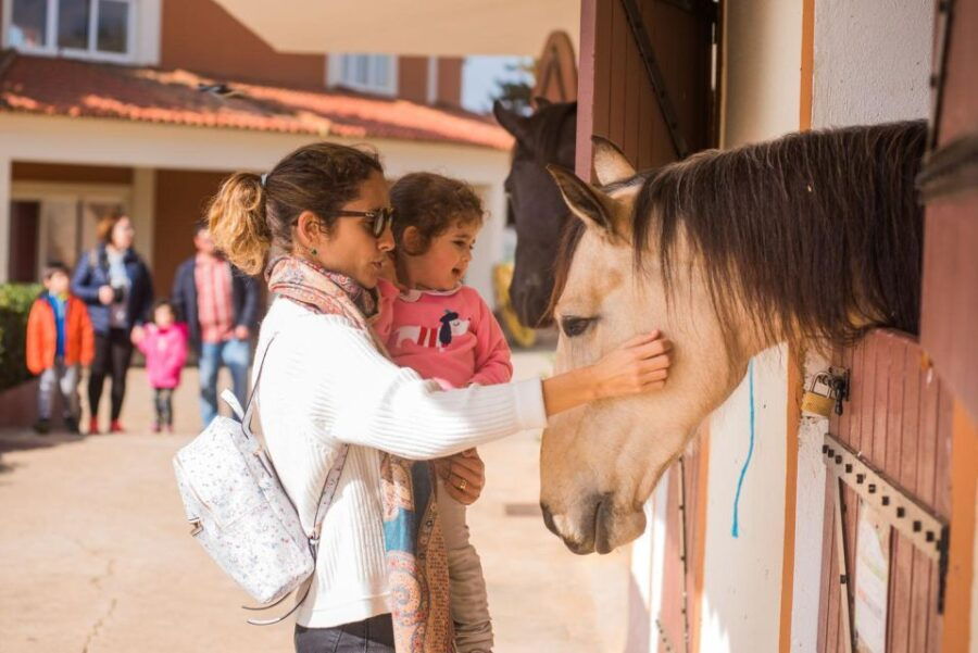 From Lisbon: The Best of Alentejo Day Trip All Inclusive - Itinerary