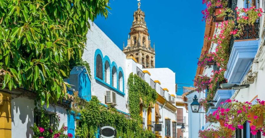 From Málaga: Day Trip to Córdoba - Premium Small Group Tour - Itinerary