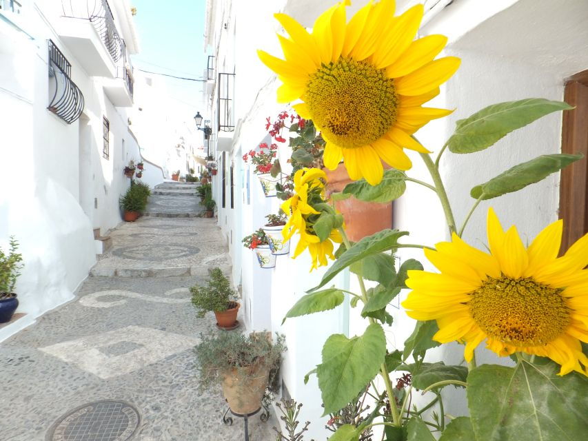 From Málaga: Frigiliana Hiking Tour With Wine & Appetizers - Good To Know