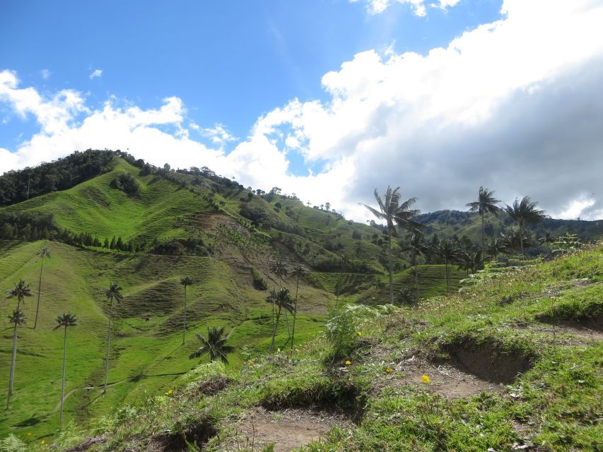 From Medellín: Jericó and Salamina 2-Day Coffee Tour - Language and Pickup Information