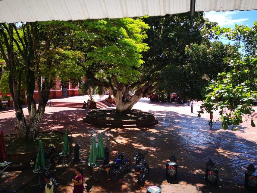 From Medellín: Jericó Full-Day Tour - Customer Review