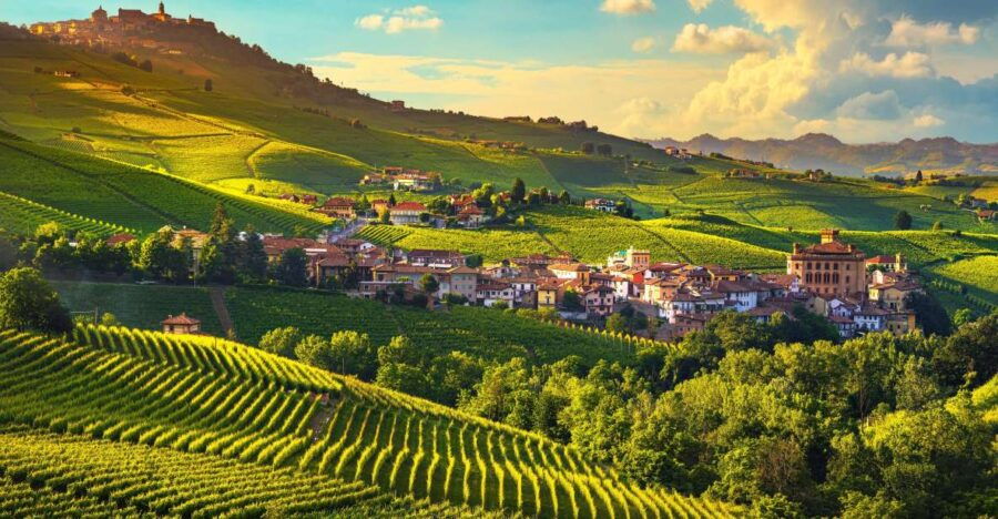From Milan: Barolo Wine Tasting, Alba Tour and Castle Visit