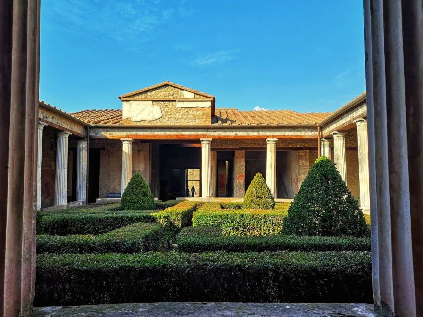 From Naples: Pompeii and Herculaneum Half-Day Private Trip - Inclusions