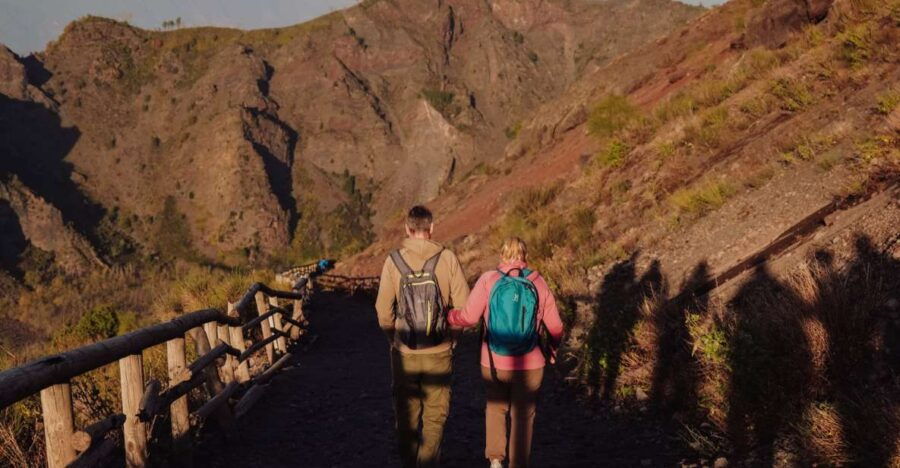 From Naples: Pompeii & Mount Vesuvius Full-Day Private Tour - Tour Details