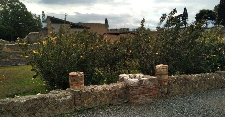 From Naples With 2hr Stop at Herculaneum Site and Back - Tour Details