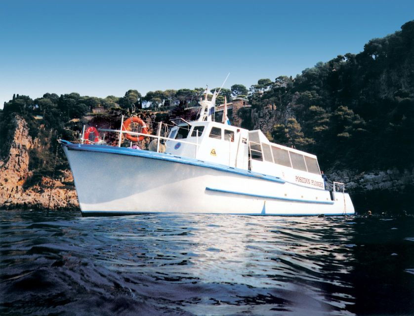 From Nice: Boat Trip, Swim & Snorkeling in Villefranche Bay - Booking Information