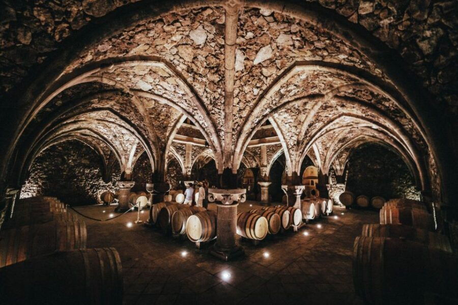 From Nice: Provence Wine Full-Day Tour