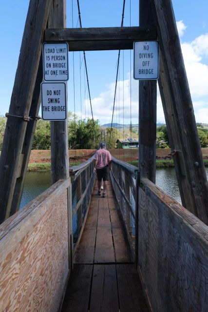 From Oahu: Kauai Waimea Canyon and Koke’e State Park Tour