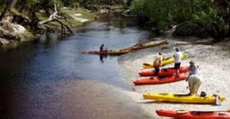 From Orlando: Kayaking the Econlockhatchee River With Lunch - Activity Highlights
