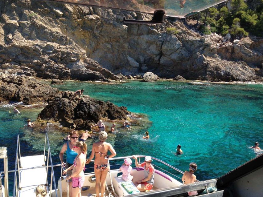 From Palma: 3-Hour Morning Dolphin Watching Boat Tour - Good To Know